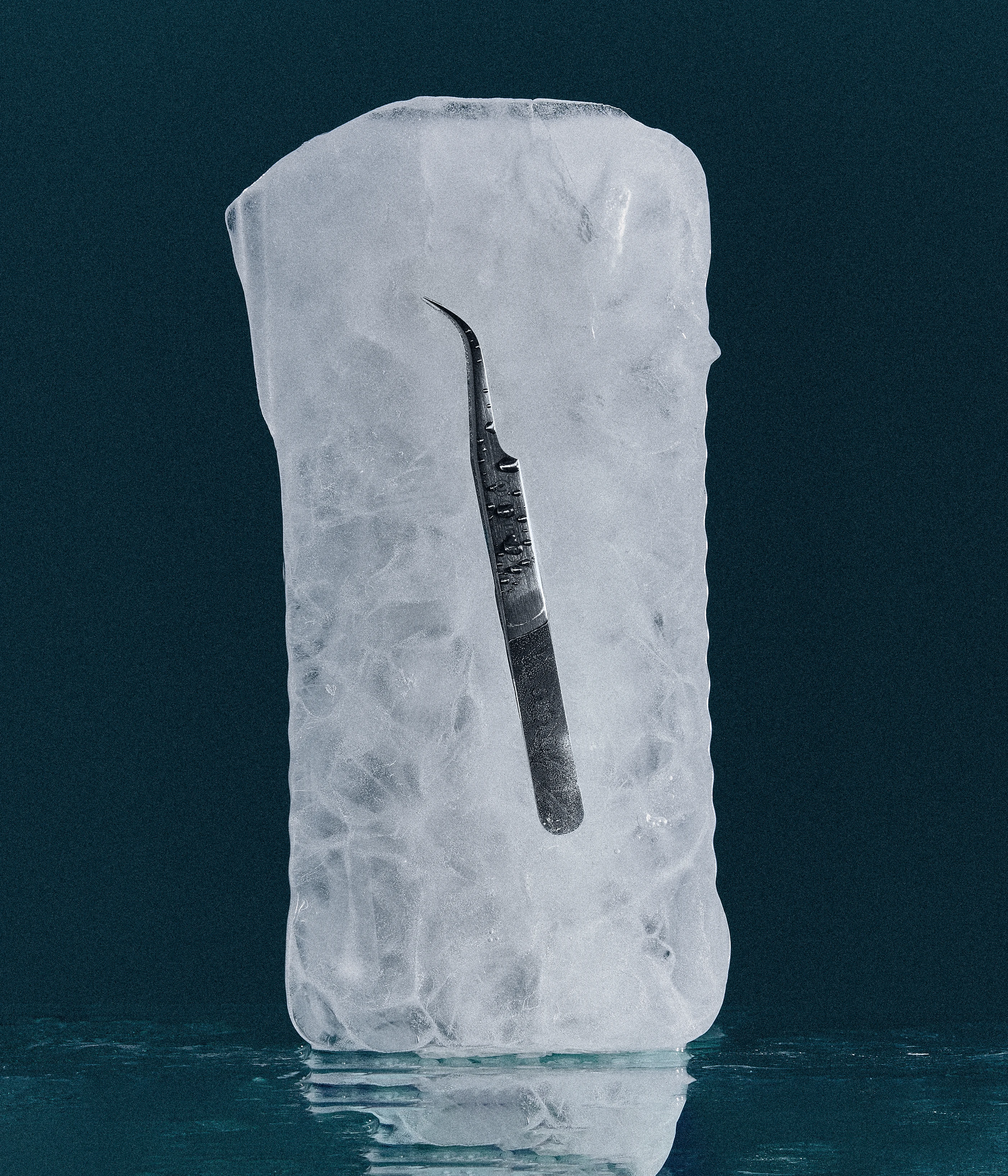 Sugar Lash Pro Still life